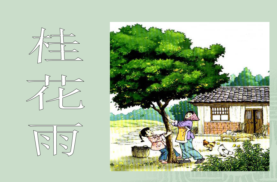 最新课件《桂花雨》课件.ppt_第2页