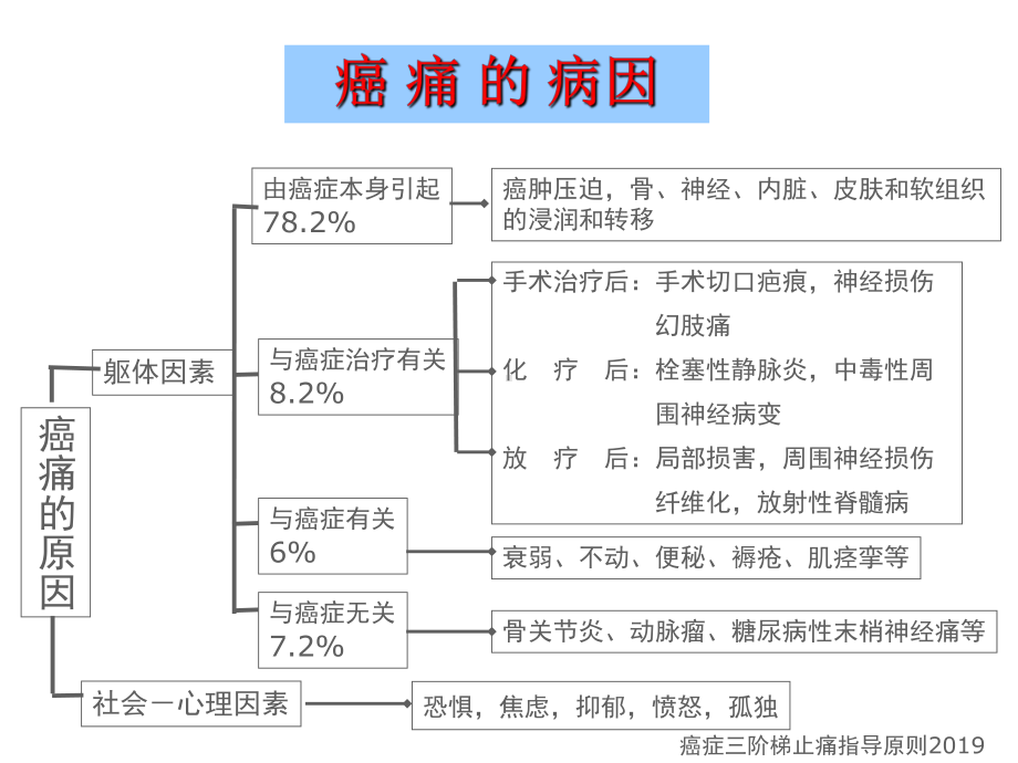 癌痛诊疗三阶梯课件.ppt_第2页