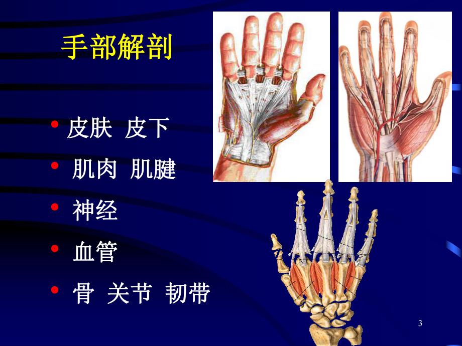 手外伤的处理原则教学课件.ppt_第3页