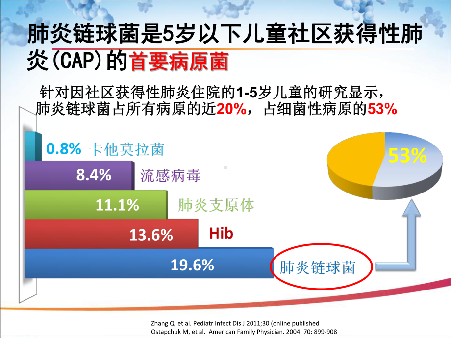 医学课件-儿童肺炎球菌性疾病现状教学课件.ppt_第2页