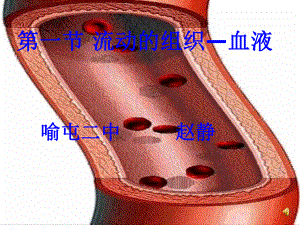 第一节流动的组织血液课件.ppt