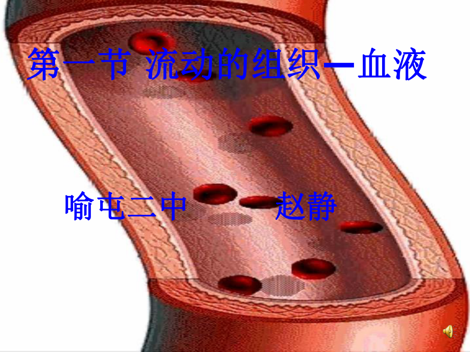 第一节流动的组织血液课件.ppt_第1页