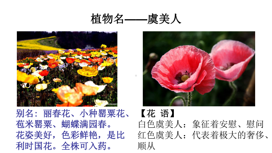 统编版必修上册古诗词诵读《虞美人》课件.pptx_第3页