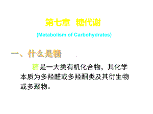 生物化学07第七章糖代谢课件.ppt