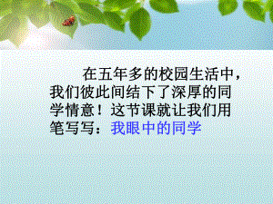 我眼中的同学课件.ppt