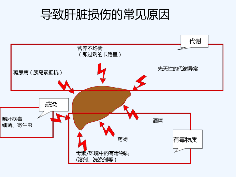 肝脏炎症控制与保肝药合理使用课件.ppt_第3页