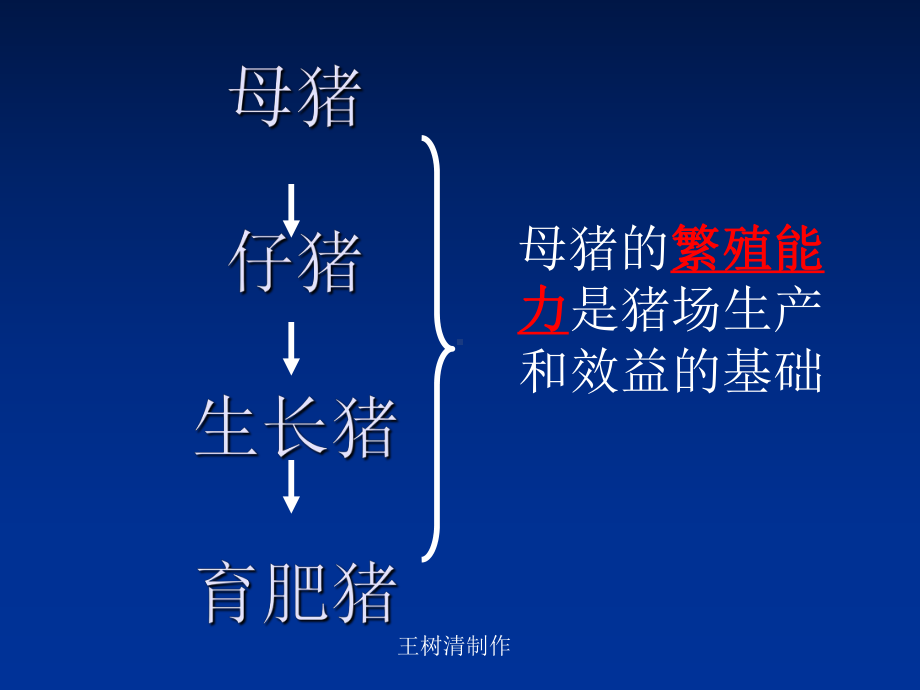 母猪饲养管理7步课件.ppt_第3页