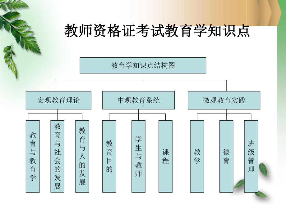 教育学第一章课件.ppt_第2页