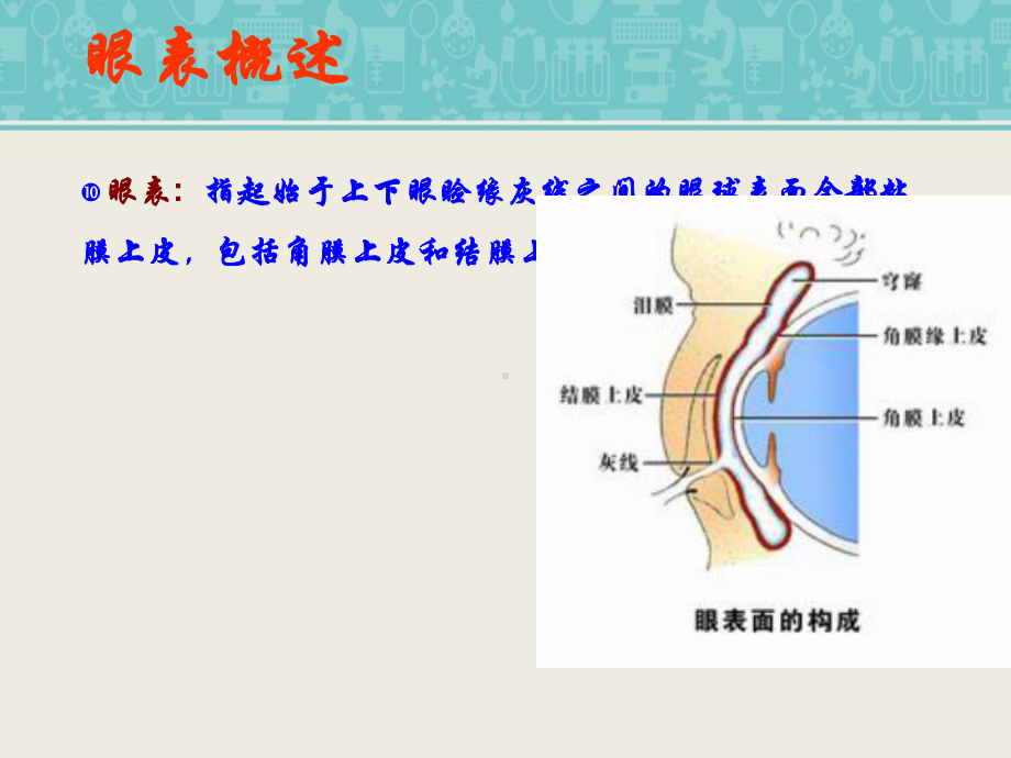 眼表疾病-眼科课件.ppt_第3页