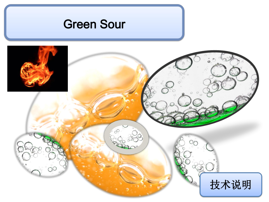 技术说明书(新型高氢柴油项目)课件.ppt_第1页