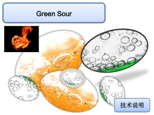 技术说明书(新型高氢柴油项目)课件.ppt