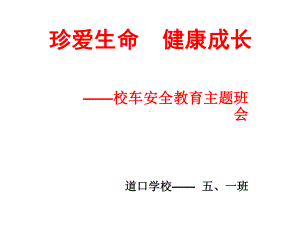 《珍爱生命健康成长》主题班会课件.ppt