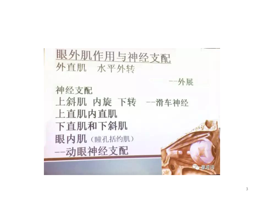 《诊断眼位与斜视》教案课件.pptx_第3页