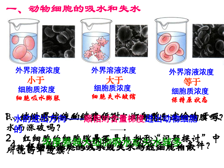 第1节物质跨膜运输实例课件.ppt_第2页