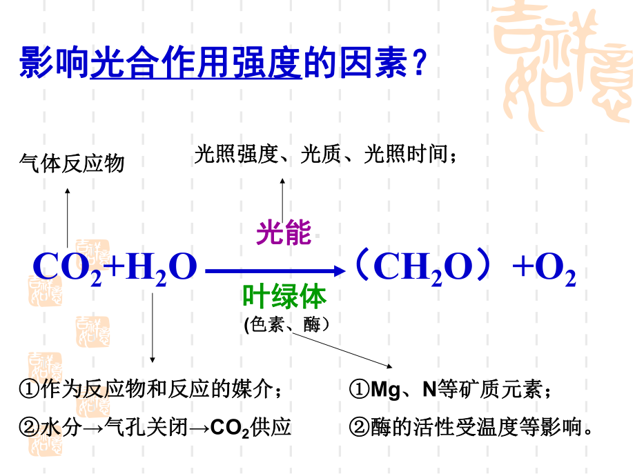 影响光合作用的因素4课件.ppt_第3页