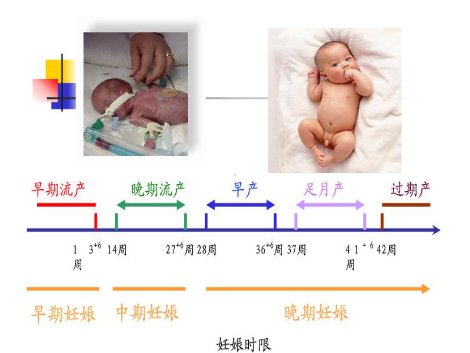 正常分娩(9版妇产科学课件).ppt_第3页