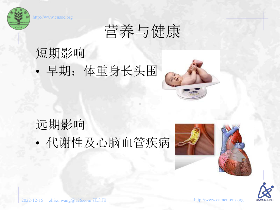 益生菌与婴幼儿健康课件.ppt_第2页