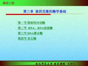 基因工程酶学基础-课件.ppt