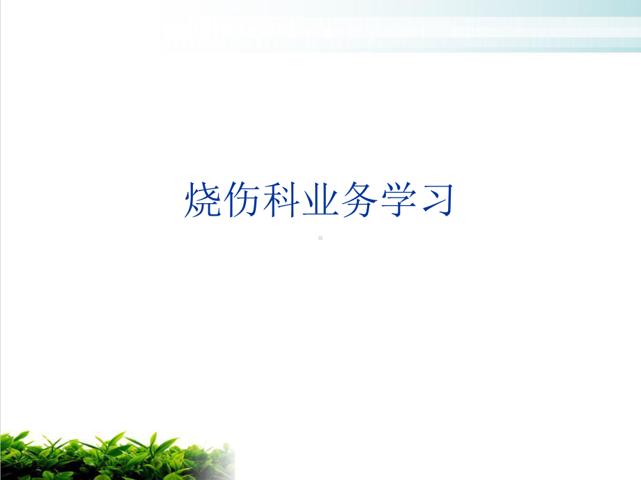 烧伤科业务学习课件.ppt_第1页