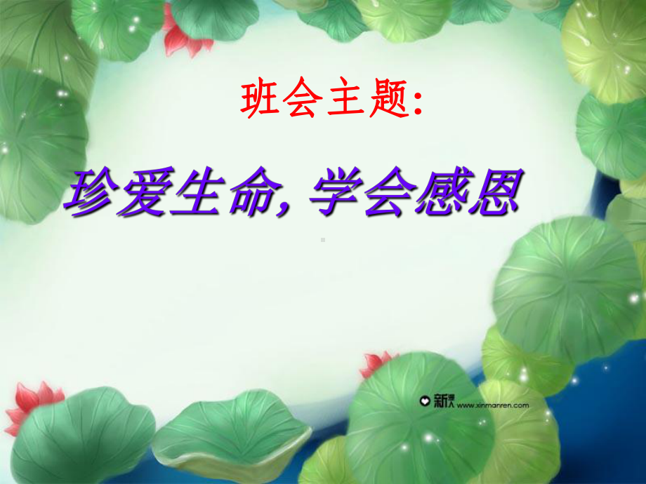 珍爱生命学会感恩课件.ppt_第1页