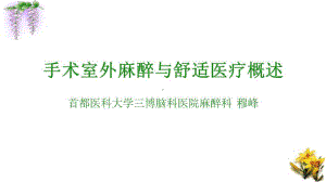 手术室外麻醉与舒适化管理手术室外麻醉与舒适医疗概述课件.pptx