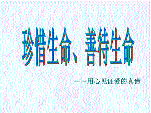 主题班会课件：珍惜生命、善待生命-用心见证爱的真谛.ppt