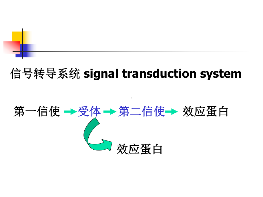 激活蛋白激酶A的活性环腺苷酸磷酸二酯酶课件.ppt_第3页