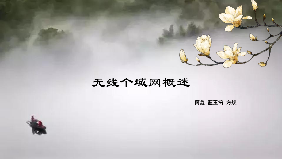 无线个域网概述(wpan)方案.ppt_第1页