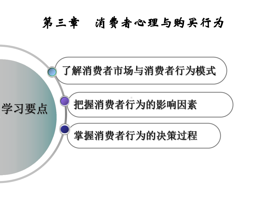 第三章-消费者行为新课件.ppt_第2页