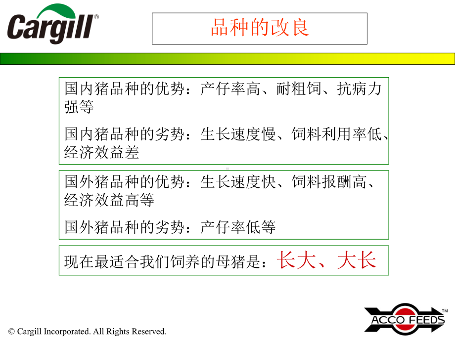 母猪解决方案课件.ppt_第2页