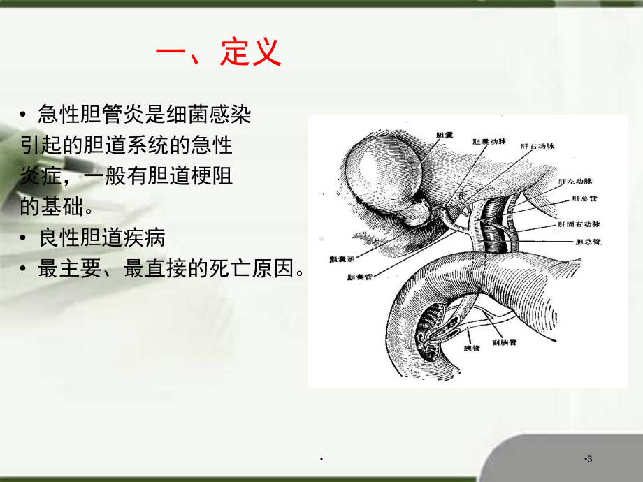 急性梗阻性化脓性胆管炎课件.pptx_第3页