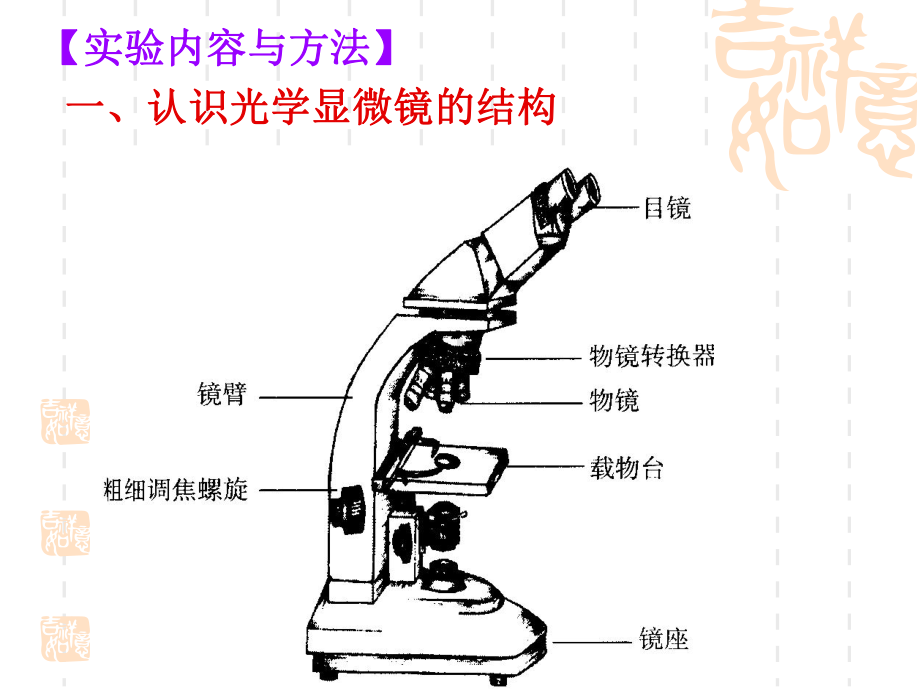 显微镜使用介绍课件.ppt_第2页