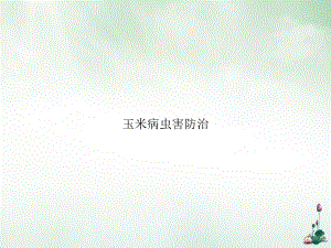 玉米病虫害防治课件.ppt