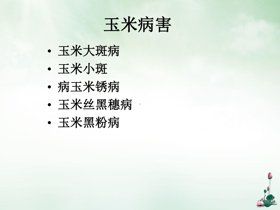 玉米病虫害防治课件.ppt_第2页