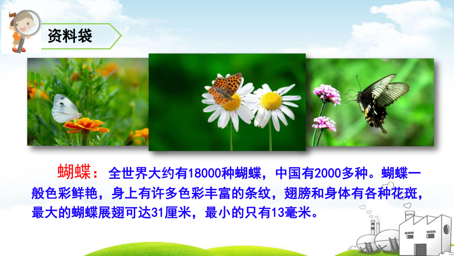 《蝴蝶的家》1课件.ppt_第3页