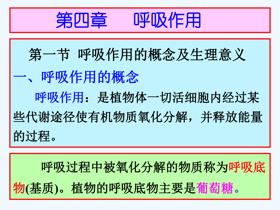 第四章呼吸作用课件.ppt_第2页