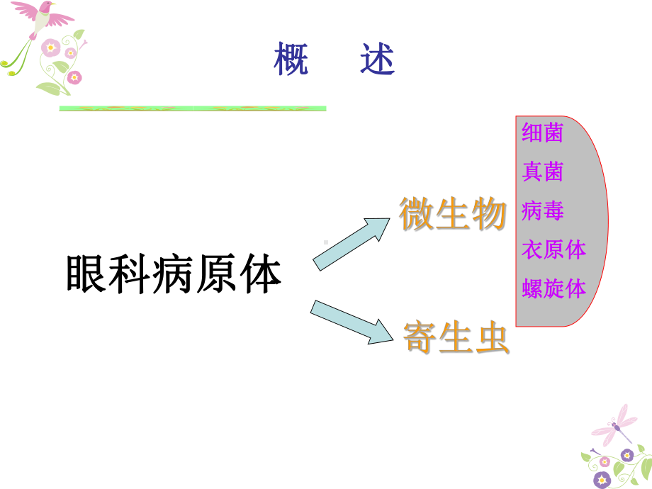 眼科相关病原体概述方案.ppt_第3页