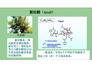 第五章-立体异构新编课件.ppt