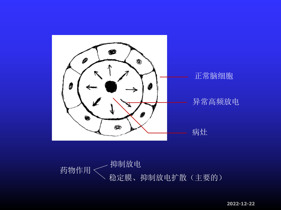 抗惊厥药-抗癫痫药课件.ppt_第3页