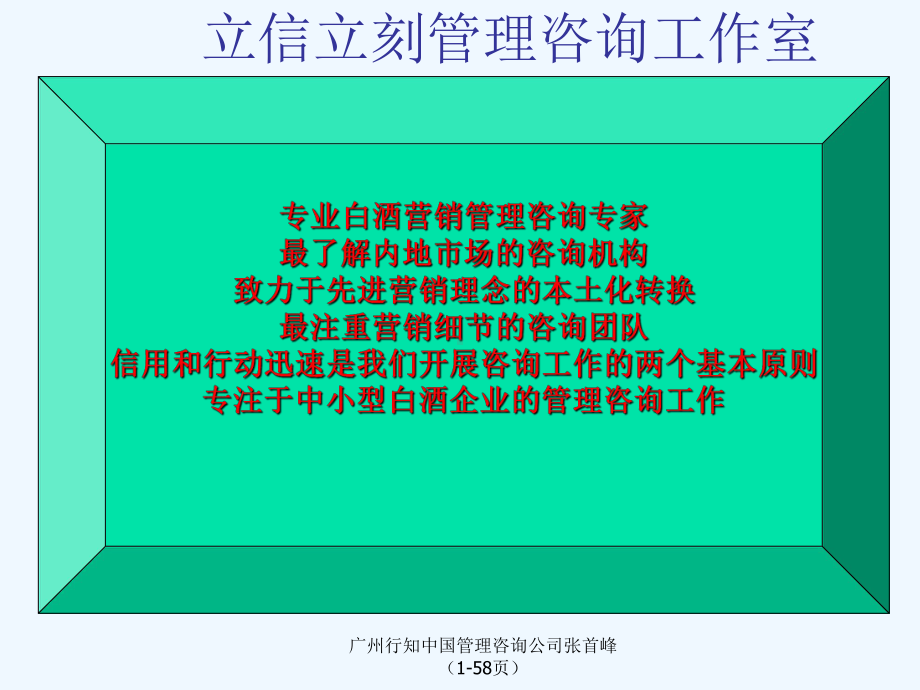 某市场营销战略咨询报告课件.ppt_第2页