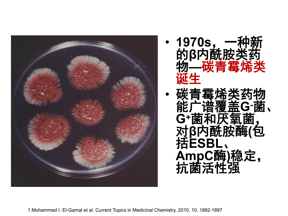 宋金春碳青霉烯类抗生素的临床应用课件.pptx_第2页