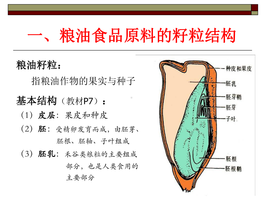 第一章-粮油食品原料课件.ppt_第2页