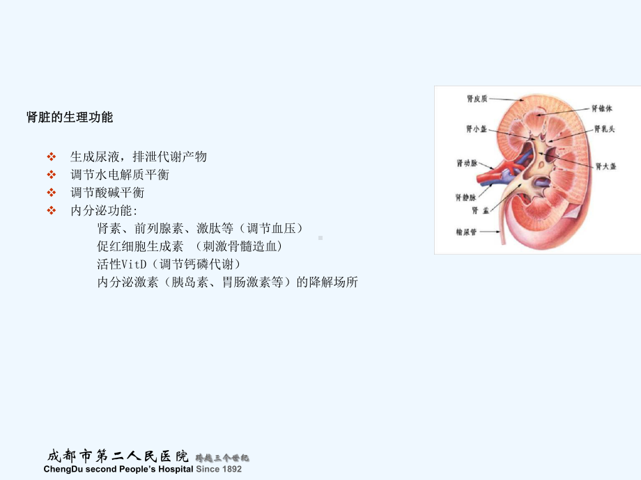 急性肾衰病人的护理课件.ppt_第2页