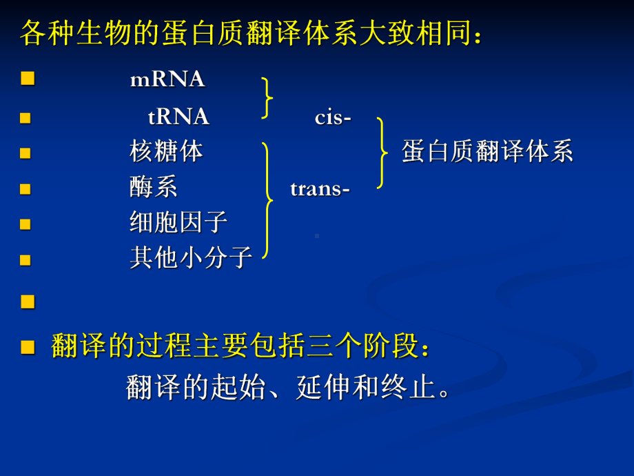 基因表达的翻译调控课件.pptx_第2页