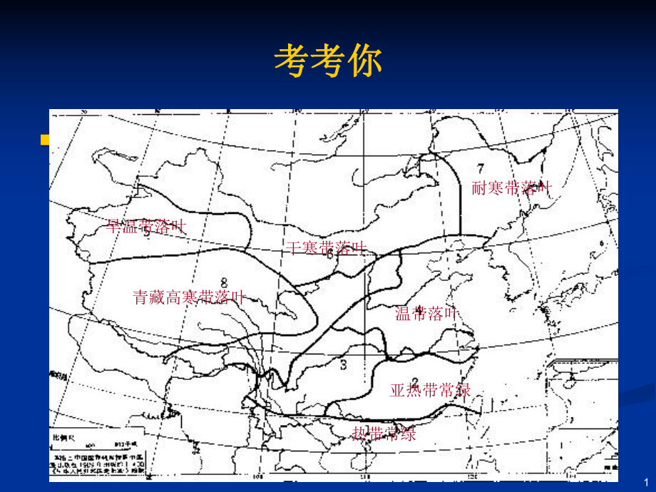 果树生命周期课件.pptx_第1页