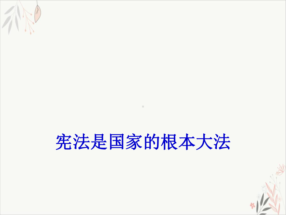 宪法基本知识-课件.ppt_第2页