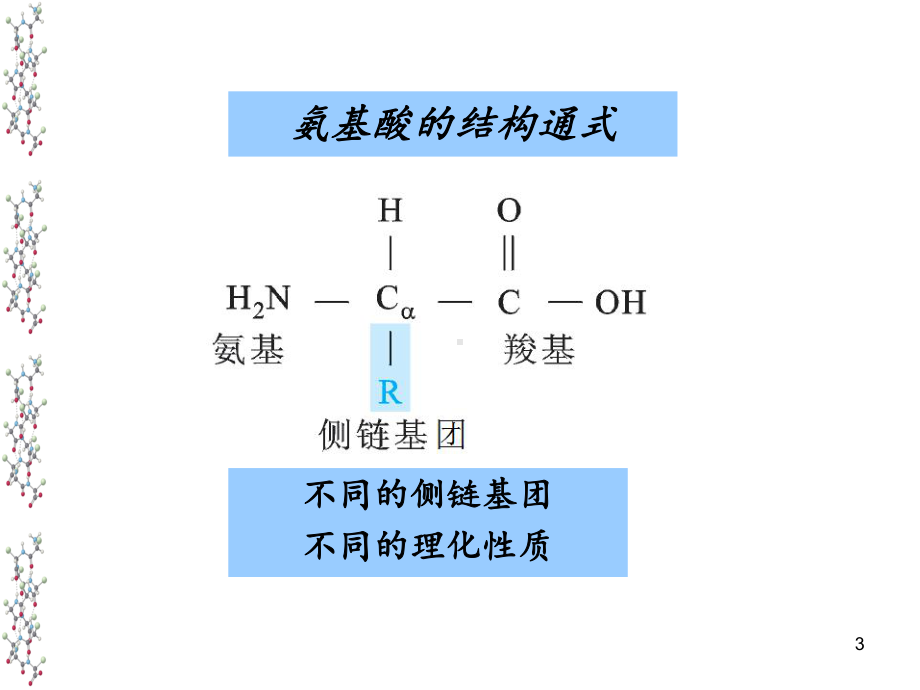 氨基酸课件讲义整理.pptx_第3页