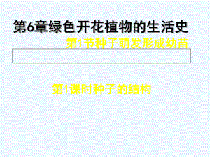 福建省浦城县七年级生物上册-61种子萌发形成幼苗(第1课时-种子的结构)讲义-(新版)北师大版课件.ppt