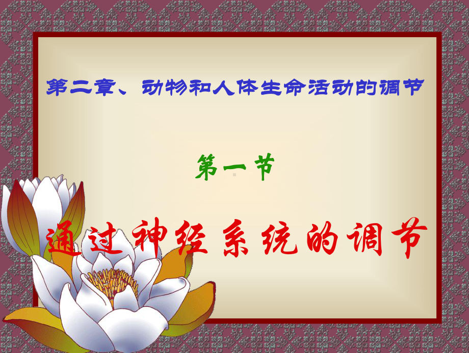 第二章1通过神经系统的调节课件.ppt_第1页