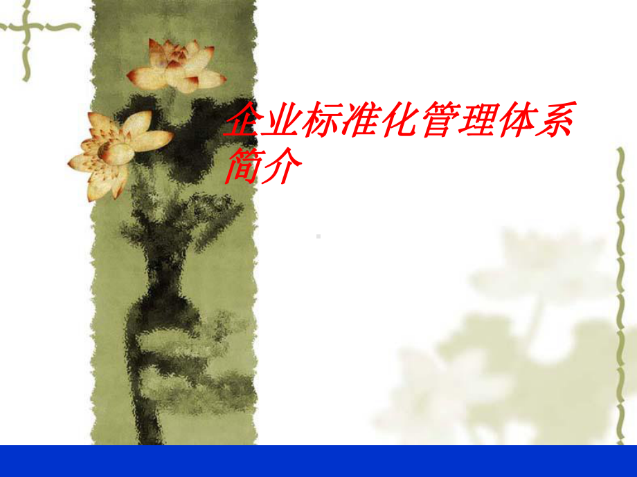 标准化管理体系简介(继续教育课件).ppt_第1页